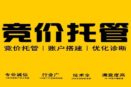 某行业领先企业背后的百度推广代理商策略